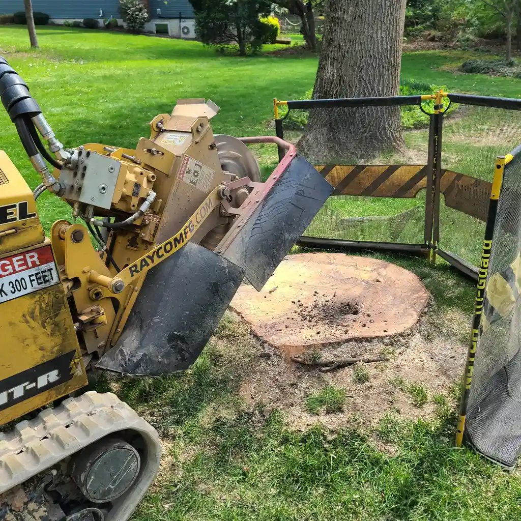 Amazing Tree Services LLC