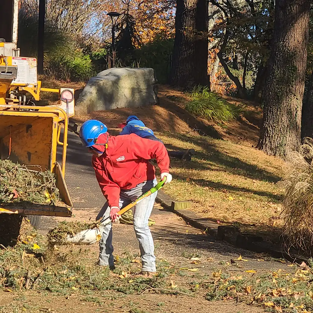 Amazing Tree Services LLC
