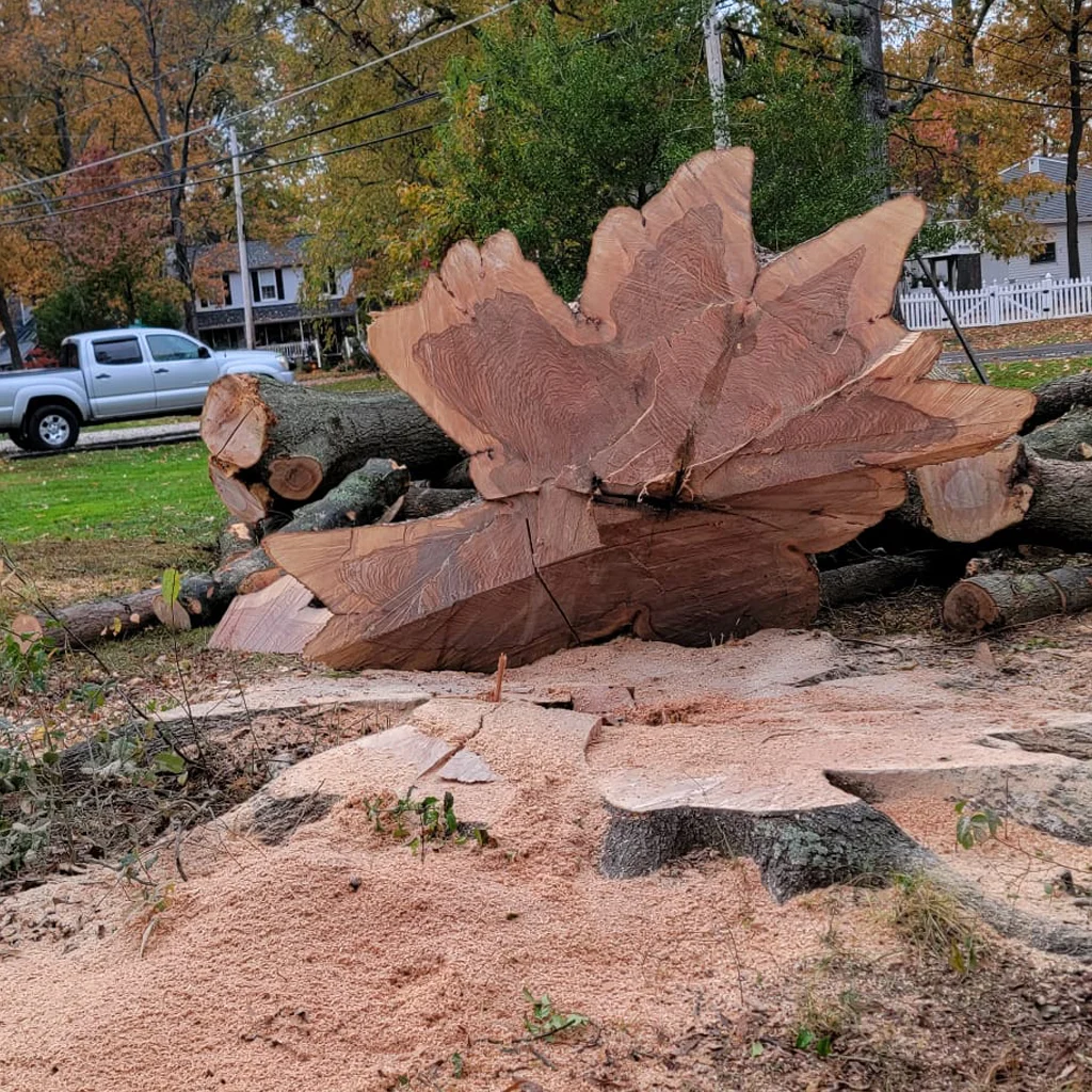 Amazing Tree Services LLC
