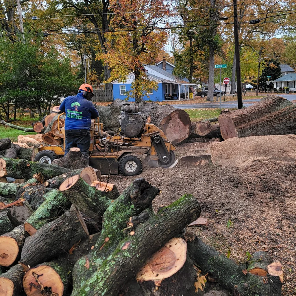 Amazing Tree Services LLC